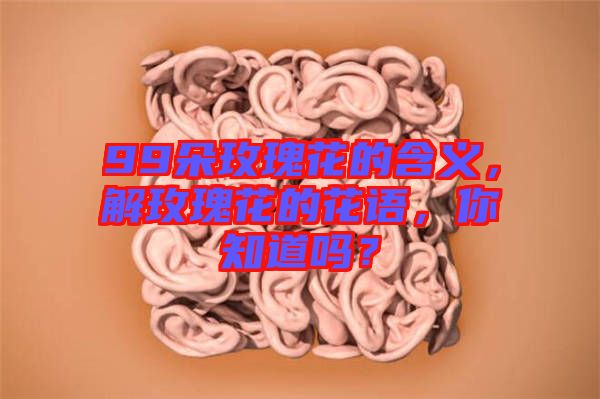 99朵玫瑰花的含義，解玫瑰花的花語，你知道嗎？